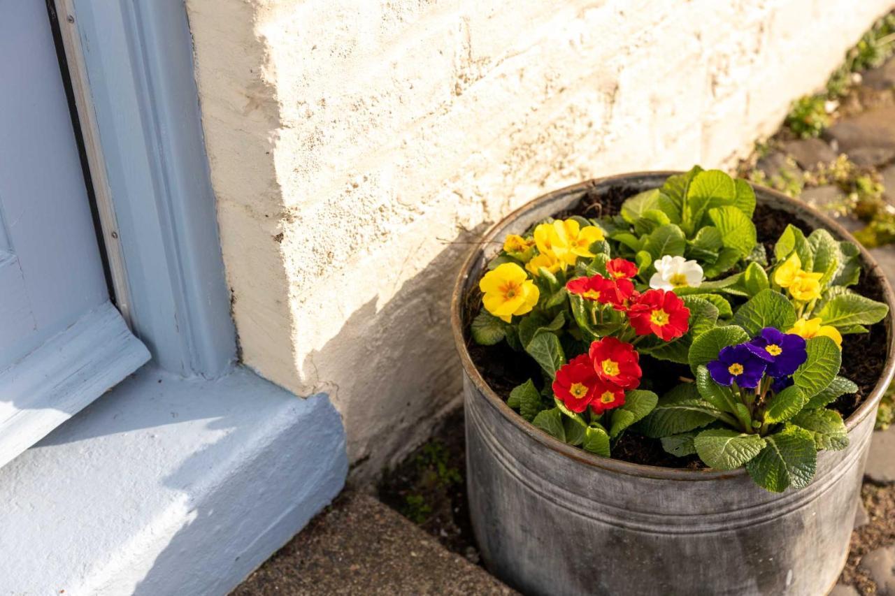 The Weights And Measures Office Daire Berwick Upon Tweed Dış mekan fotoğraf
